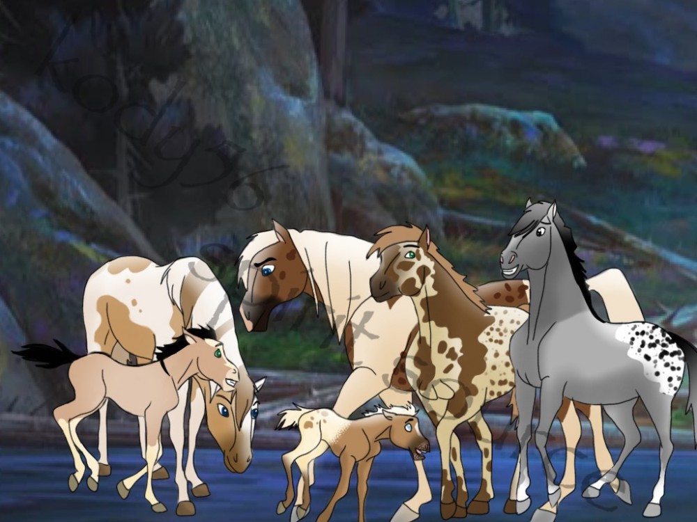 A young herd