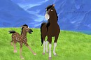 My little dear filly