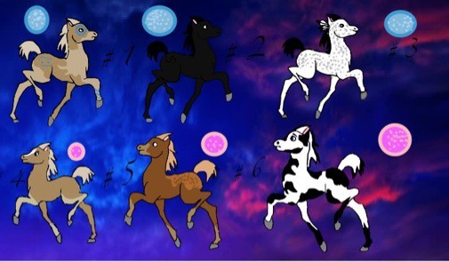 Adoptables!!!!