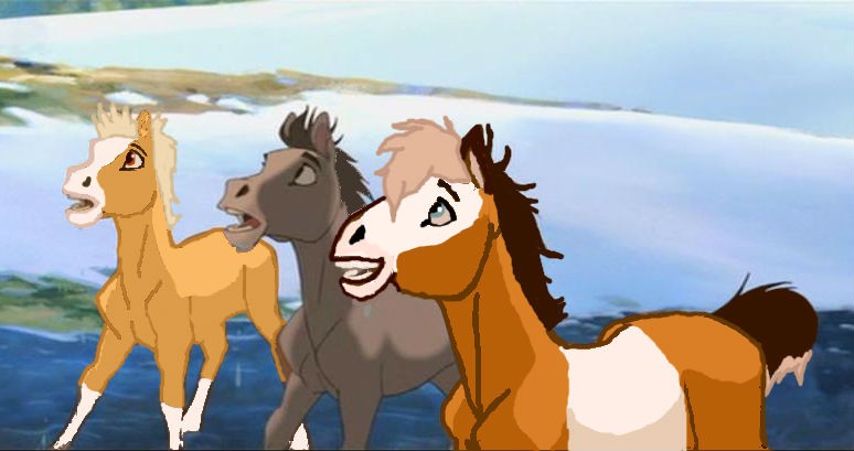 3 foals