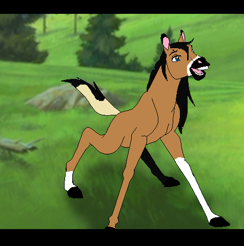 FanFoal