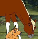 New foal!!!