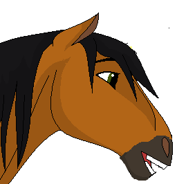 Head shot 