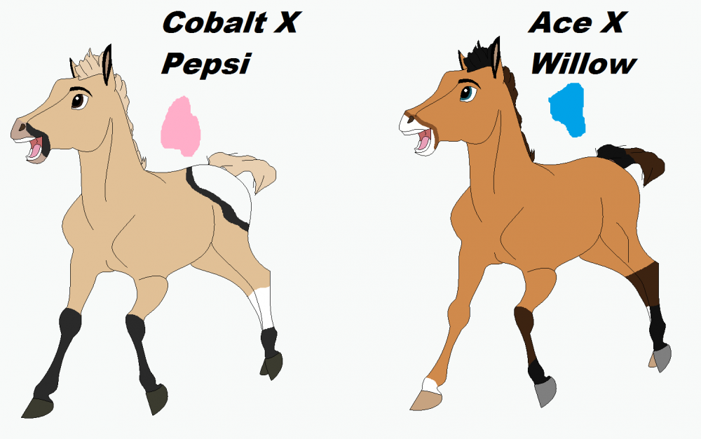 Fan Foals!!