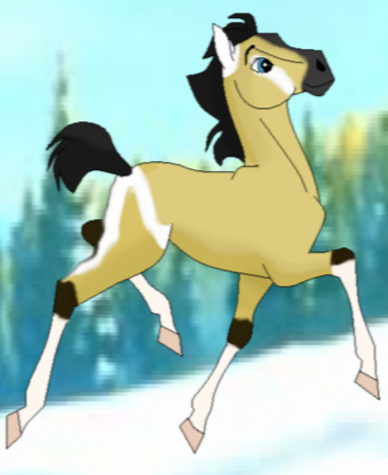 New Foal