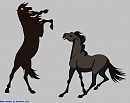 Junipero Vs Xerxes 