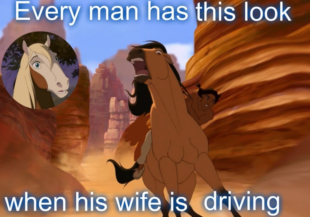 Spirit Meme with a Picture