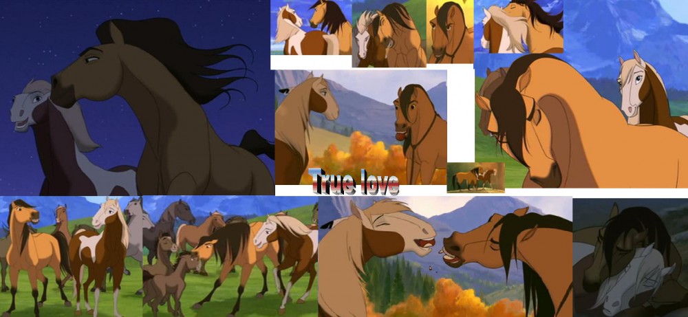 true love