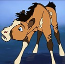 Aleta- Spirit's Foal