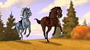 Riderless Race