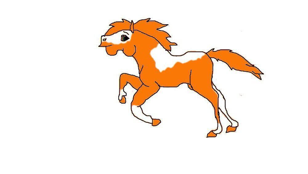 bella conada in Jill style