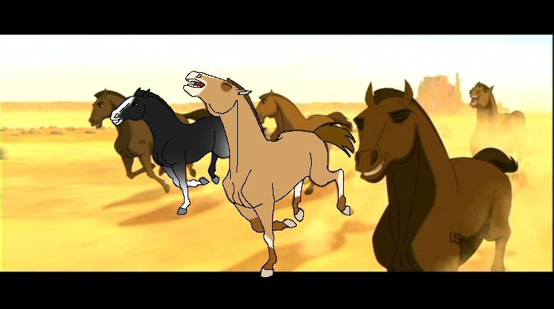 free adoptables