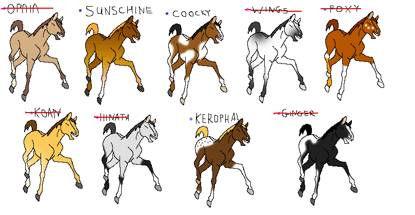 Foal adoptions!!!!