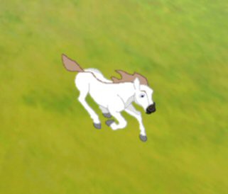 Cute litle Opaia