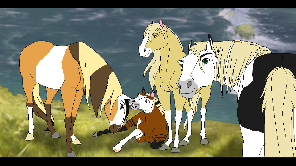 New Foal