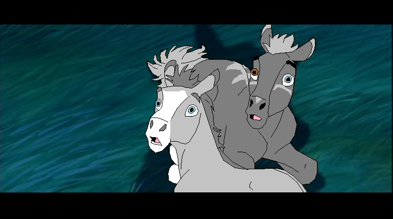 New foals
