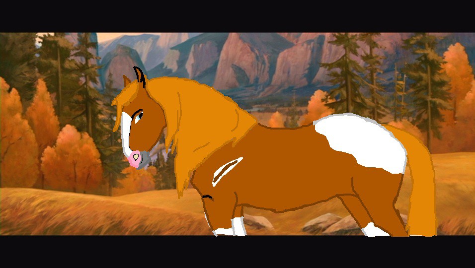 Bella Caballo