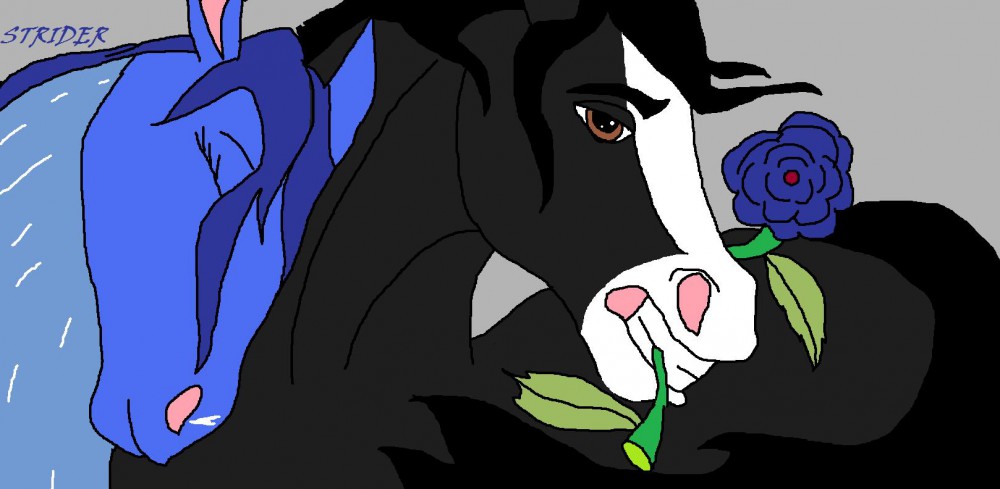 A Rose And Heart For You