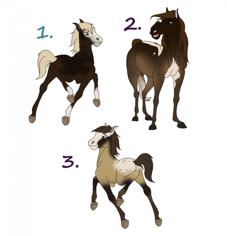 Loki Foal adopts! 