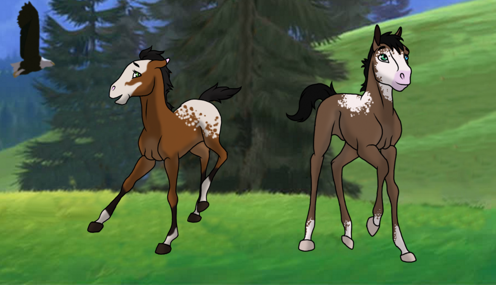 Fan Foals! 