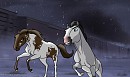 A friendly race? 