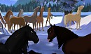 Image request! ~Dakotah~