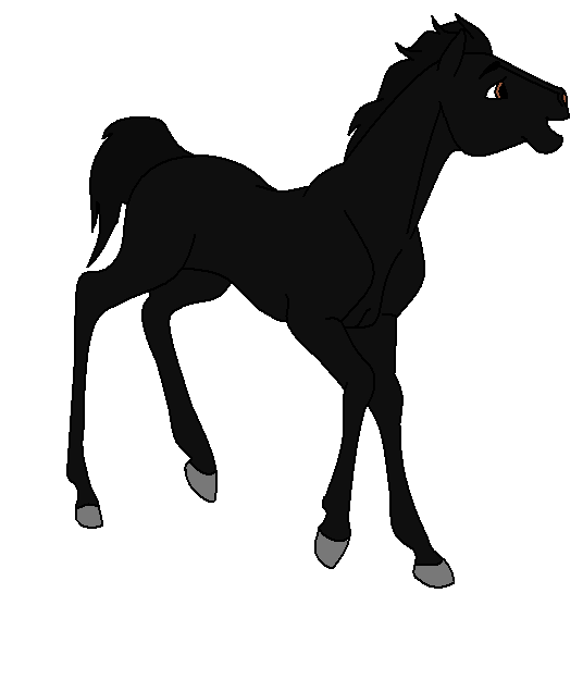 strider as a foal