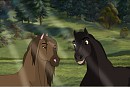 will you join my herd... Lilly