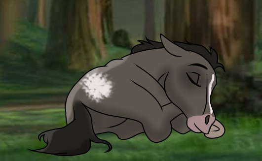 Fan foal request! -From Hayleywolf-