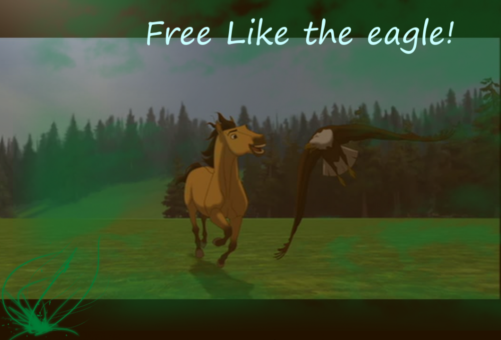free like the eagle!