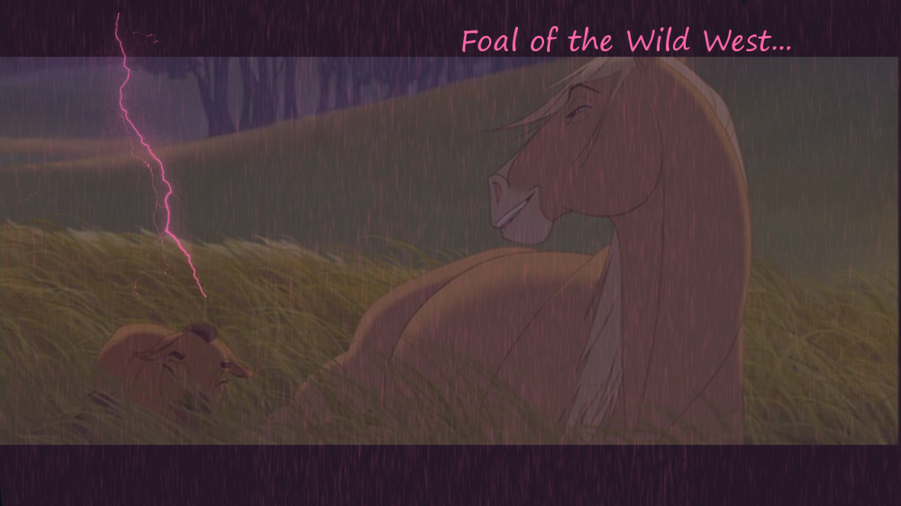 Foal of the wild west