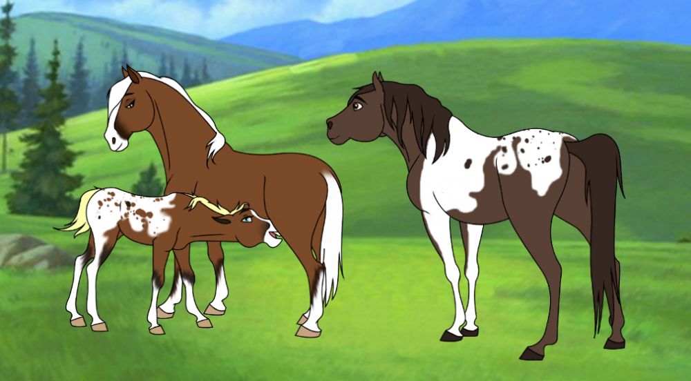 Image request! ~Irish Dream~ ^_^