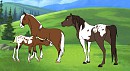 Image request! ~Irish Dream~ ^_^