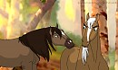 40 faves image request ~Irish Dream~