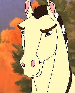 my new character