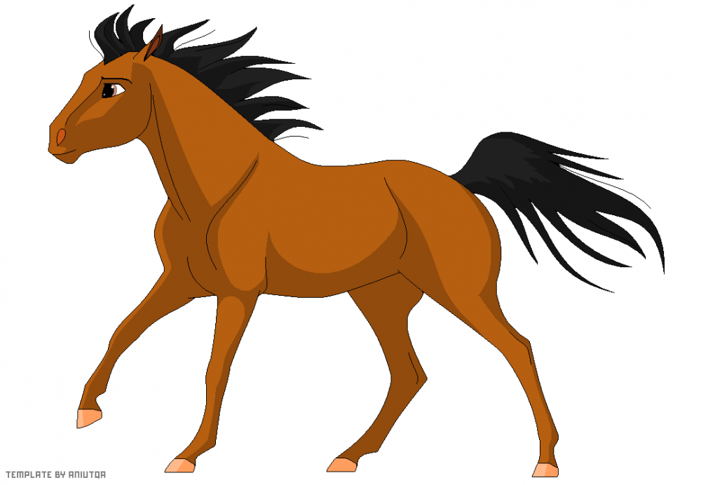 Starlina x Strider Foal
