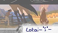 Lokai-°S°-