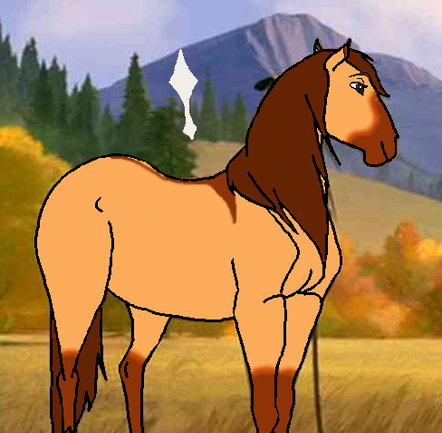 Adoptable 3- Mare
