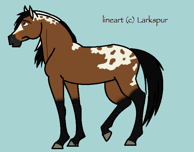 Stallion Adoptable.