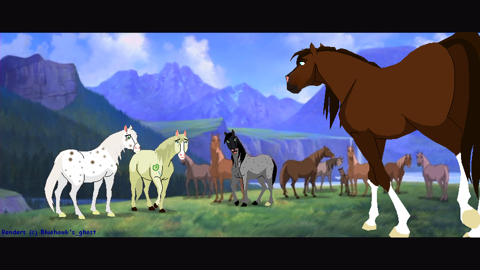 New Stallion?
