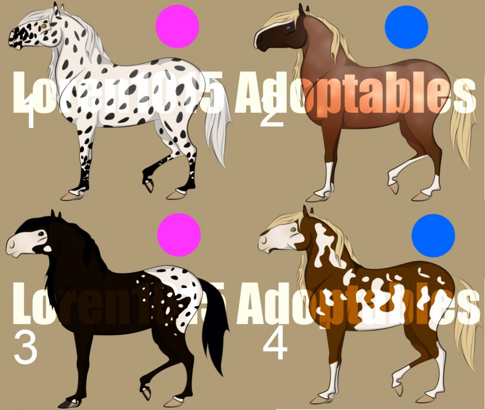 ADOPTABLES! 