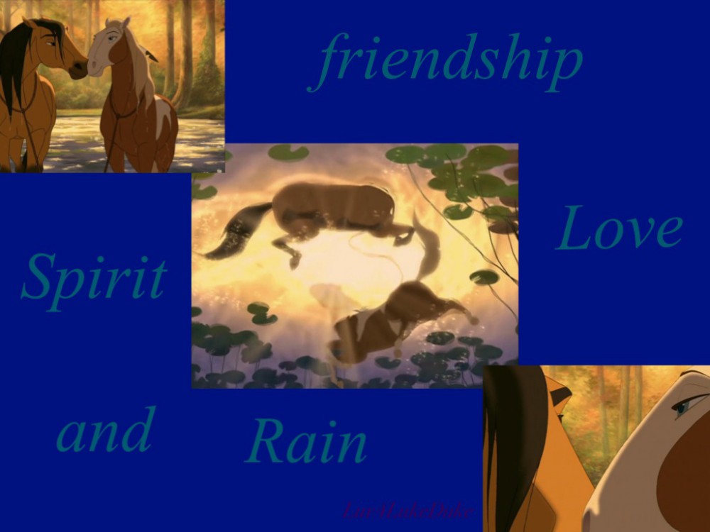 Spirit and Rain