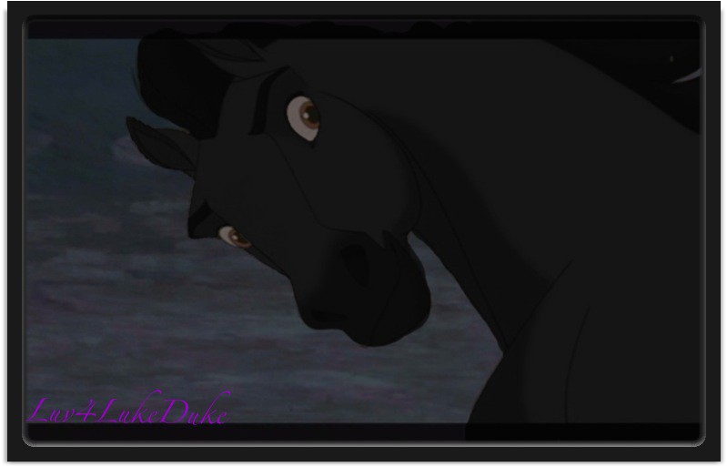 Moonless Night 