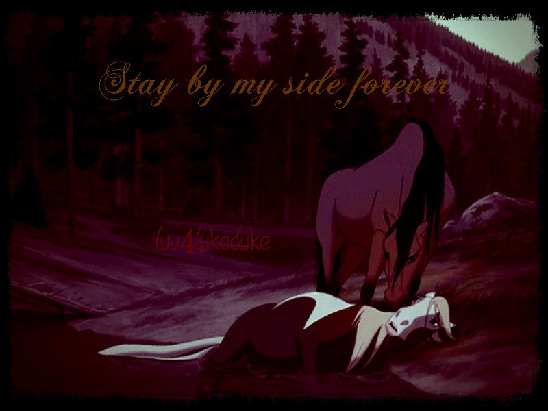 Stay by my side forever 