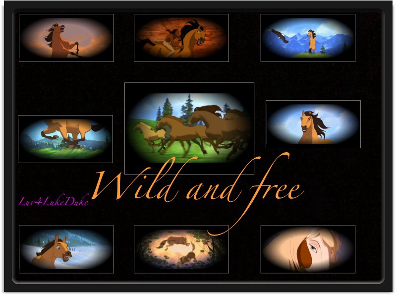 Wild and Free