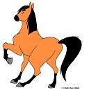 Spirit the wild stallion