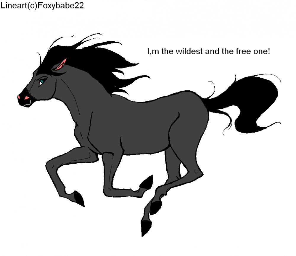 Wild and Free