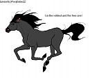 Wild and Free