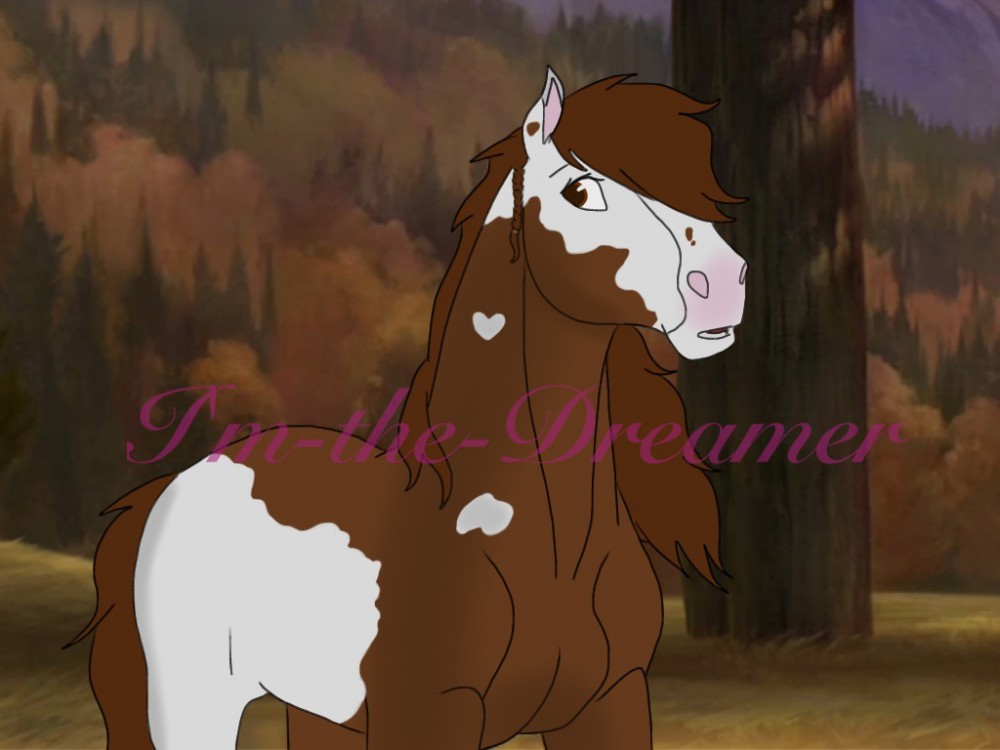 New mare