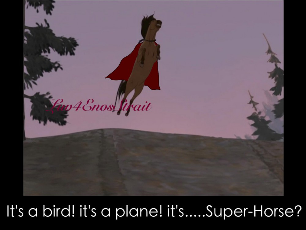 It's a bird! it's a plane! It's.....Super-horse?